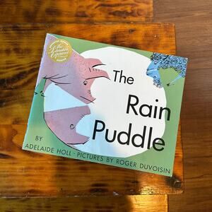 Vintage 1991 The Rain Puddle Paperback Book